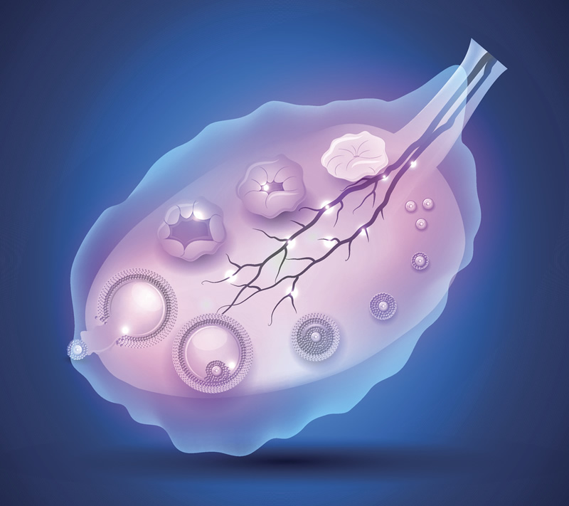 重庆试管婴儿费用大约要花多少钱？重庆试管婴儿哪个最便宜